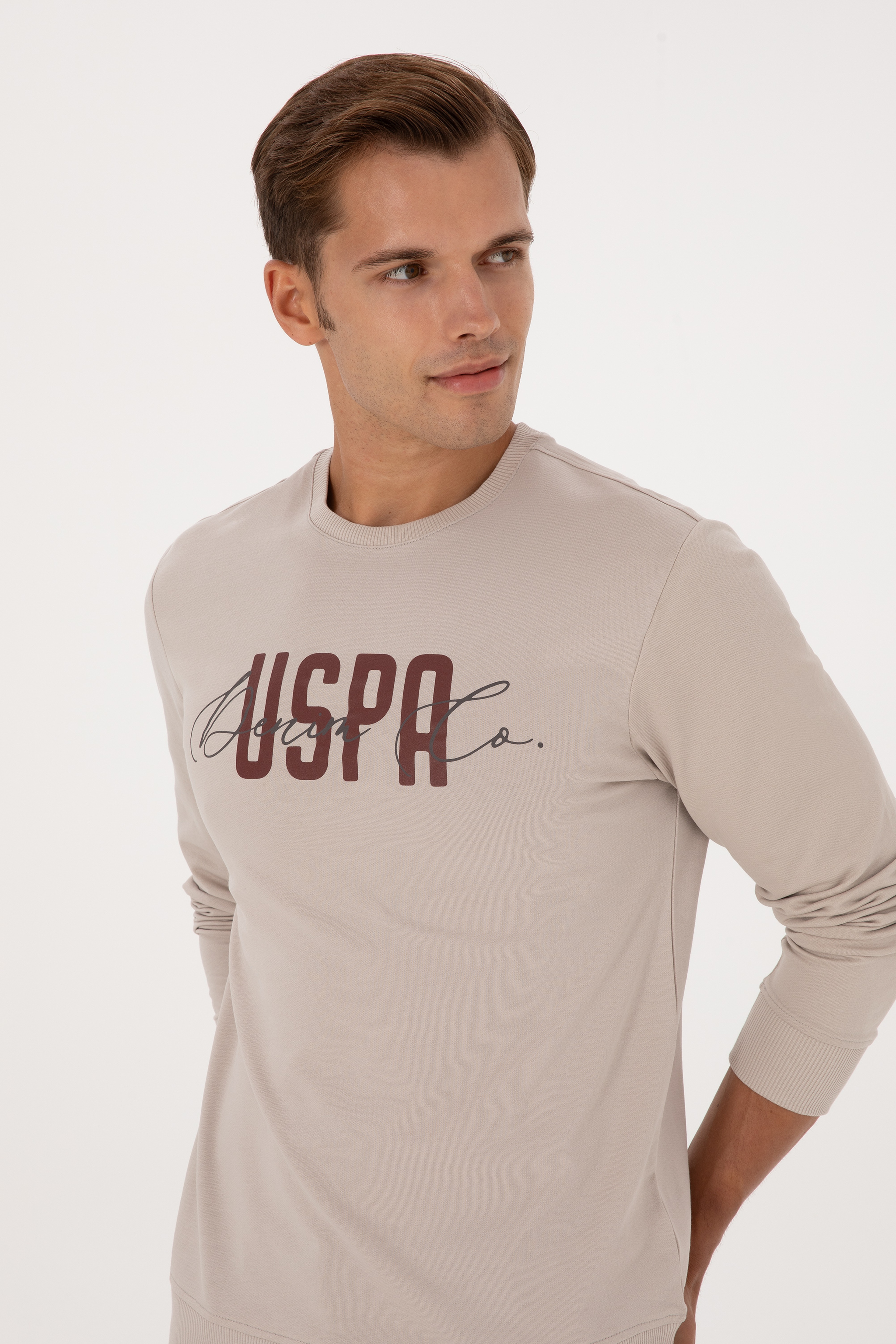 Erkek Regular Fit Bisiklet Yaka Taş İnce Sweatshirt - Image 2