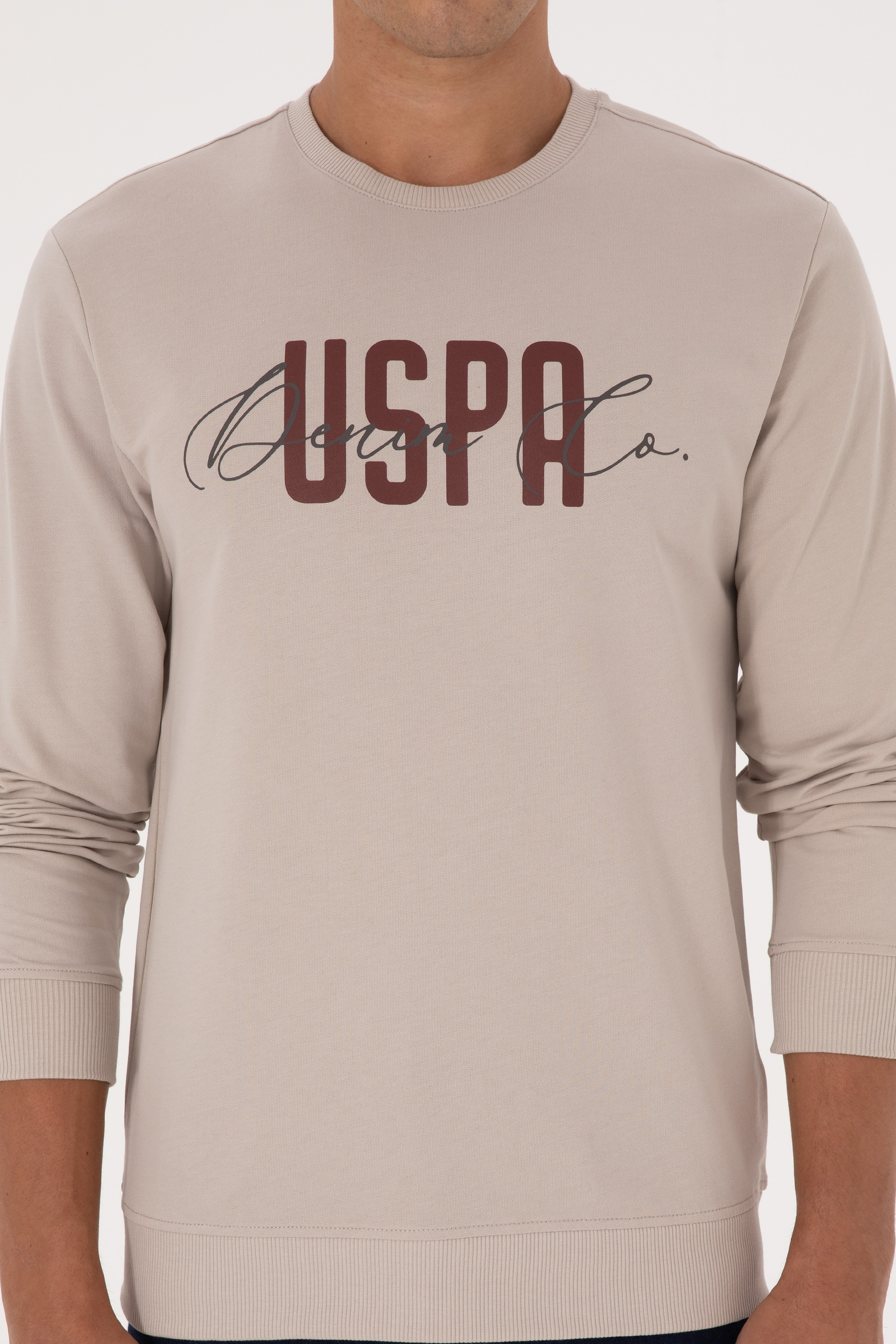 Erkek Regular Fit Bisiklet Yaka Taş İnce Sweatshirt - Image 6