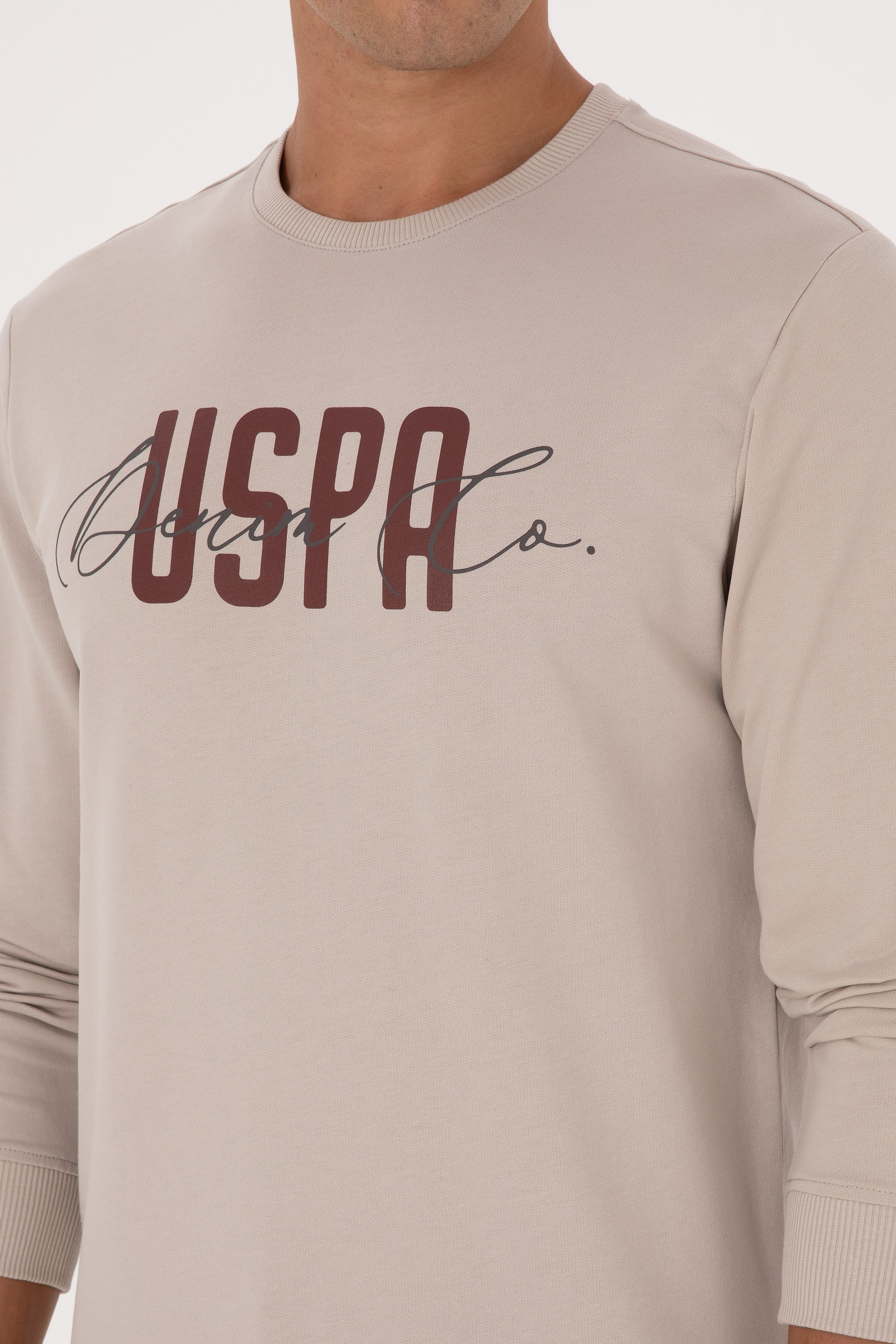 Erkek Regular Fit Bisiklet Yaka Taş İnce Sweatshirt - Image 7