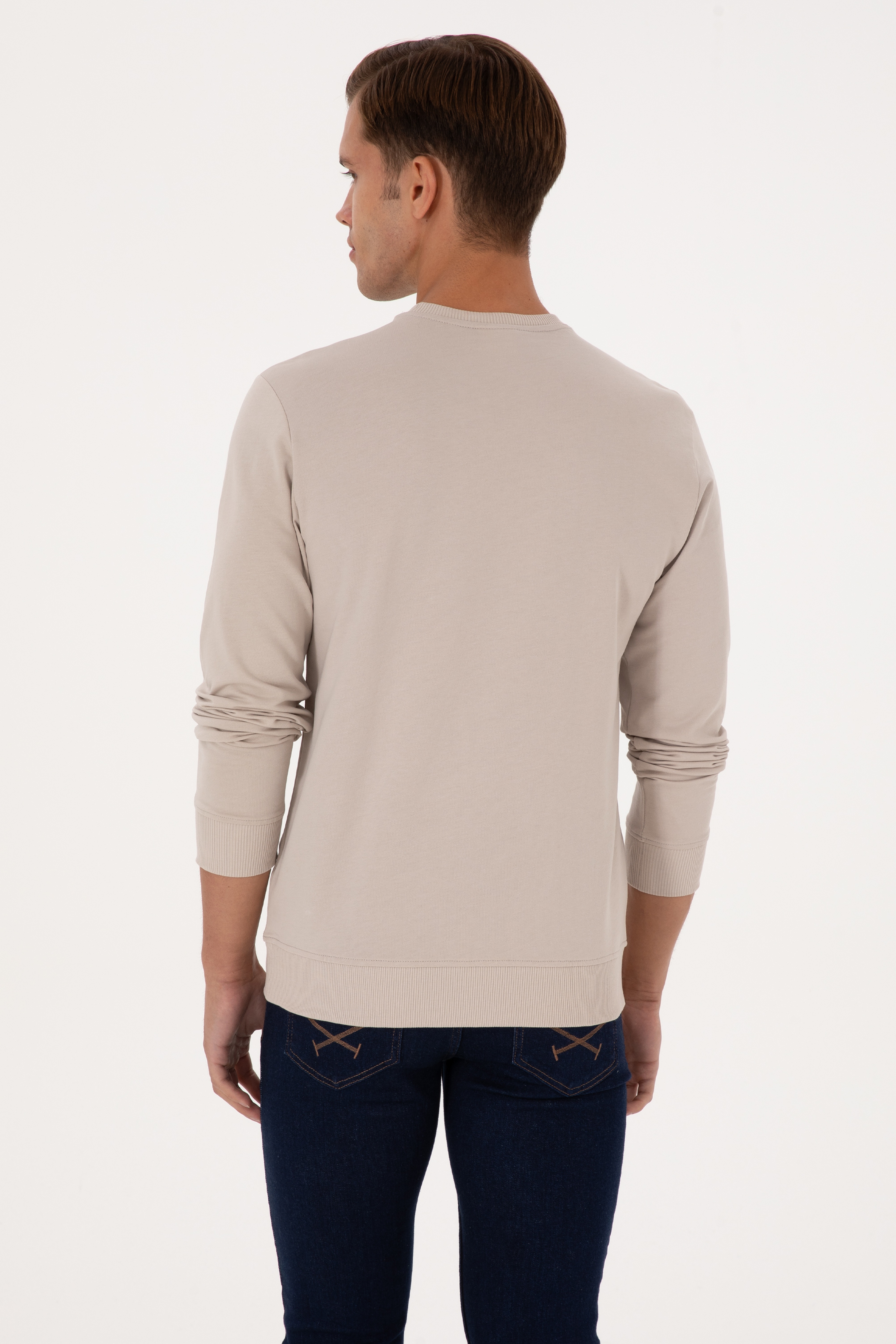 Erkek Regular Fit Bisiklet Yaka Taş İnce Sweatshirt - Image 5