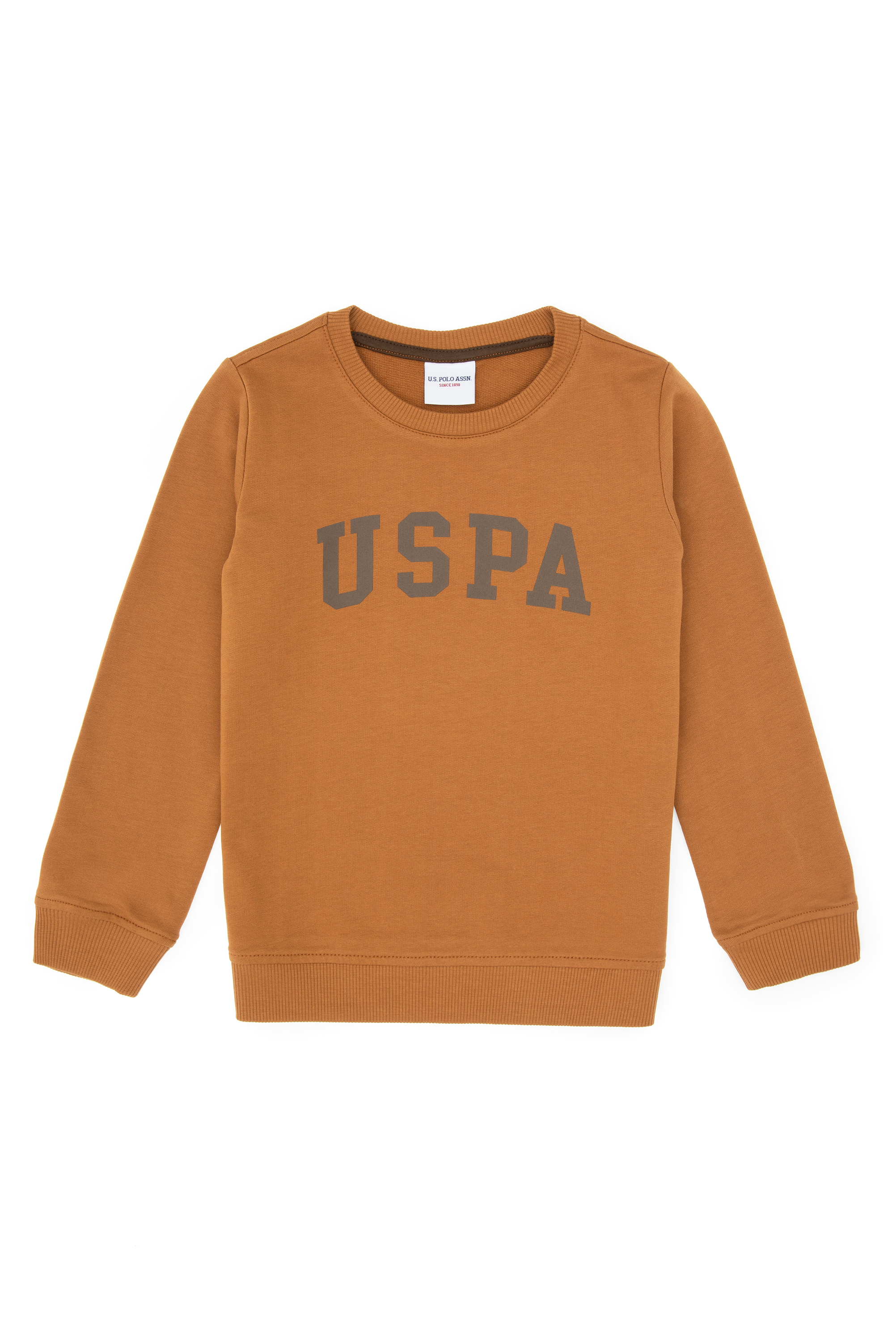Erkek Çocuk Camel Basic Bisiklet Yaka Sweatshirt - Image 3