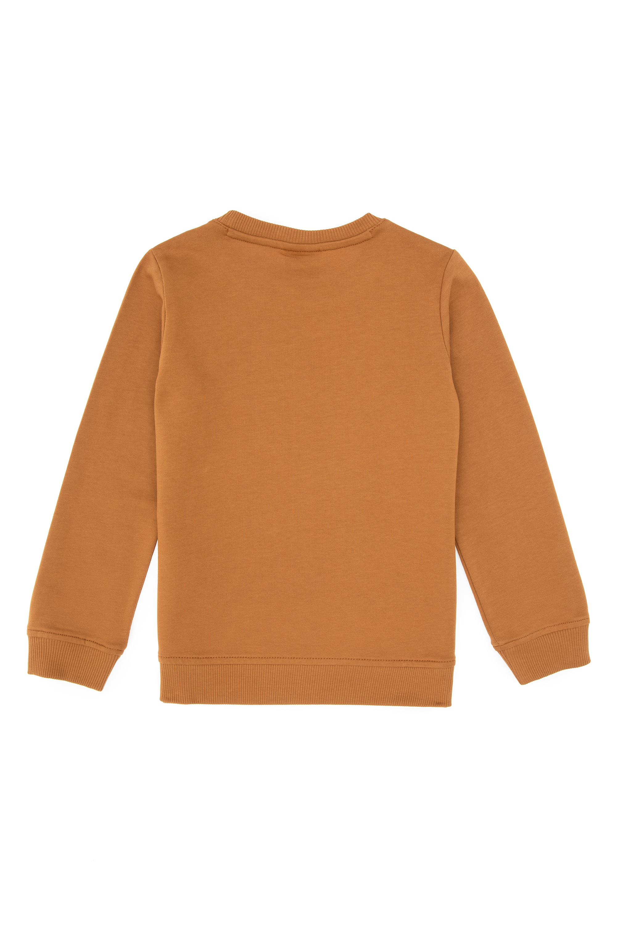 Erkek Çocuk Camel Basic Bisiklet Yaka Sweatshirt - Image 4