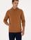 Erkek Regular Fit Kapüşonlu Camel Basic Sweatshirt