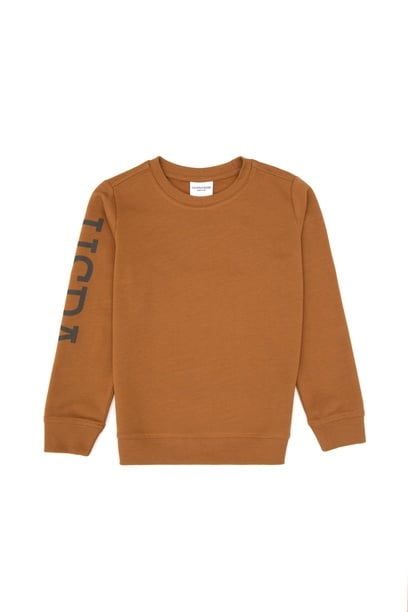 Erkek Çocuk Camel Basic Bisiklet Yaka İnce Sweatshirt