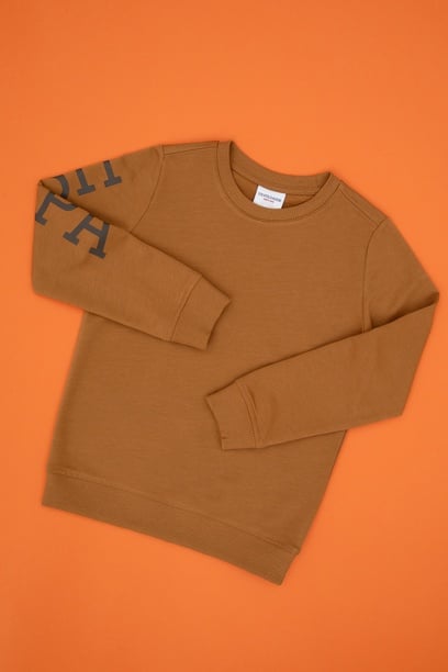 Erkek Çocuk Camel Basic Bisiklet Yaka İnce Sweatshirt