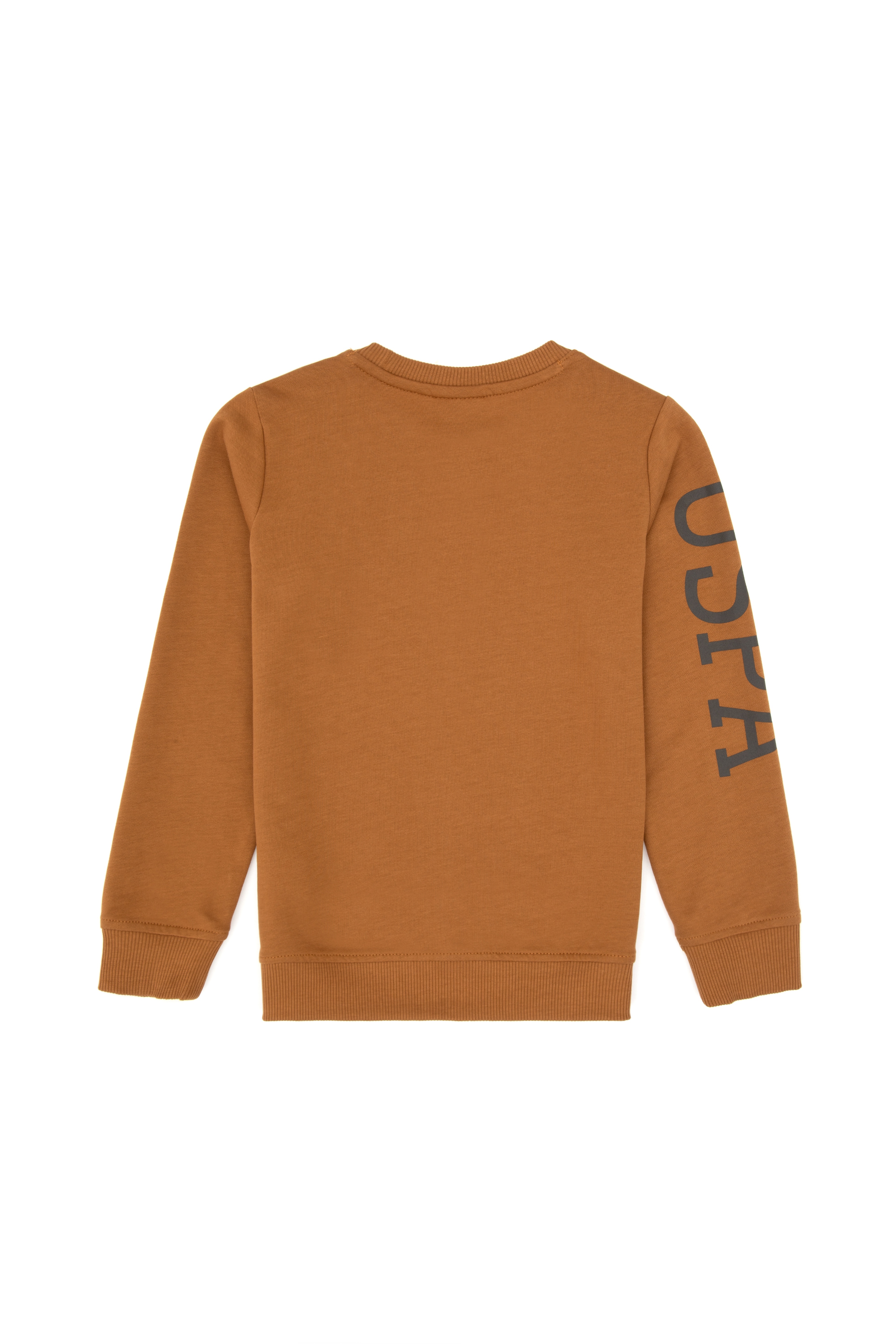 Erkek Çocuk Camel Basic Bisiklet Yaka İnce Sweatshirt - Image 3