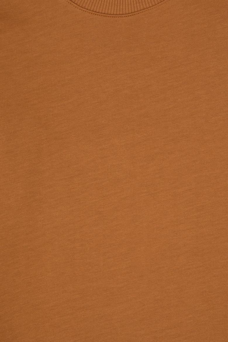 Erkek Çocuk Camel Basic Bisiklet Yaka Sweatshirt - 50313831074