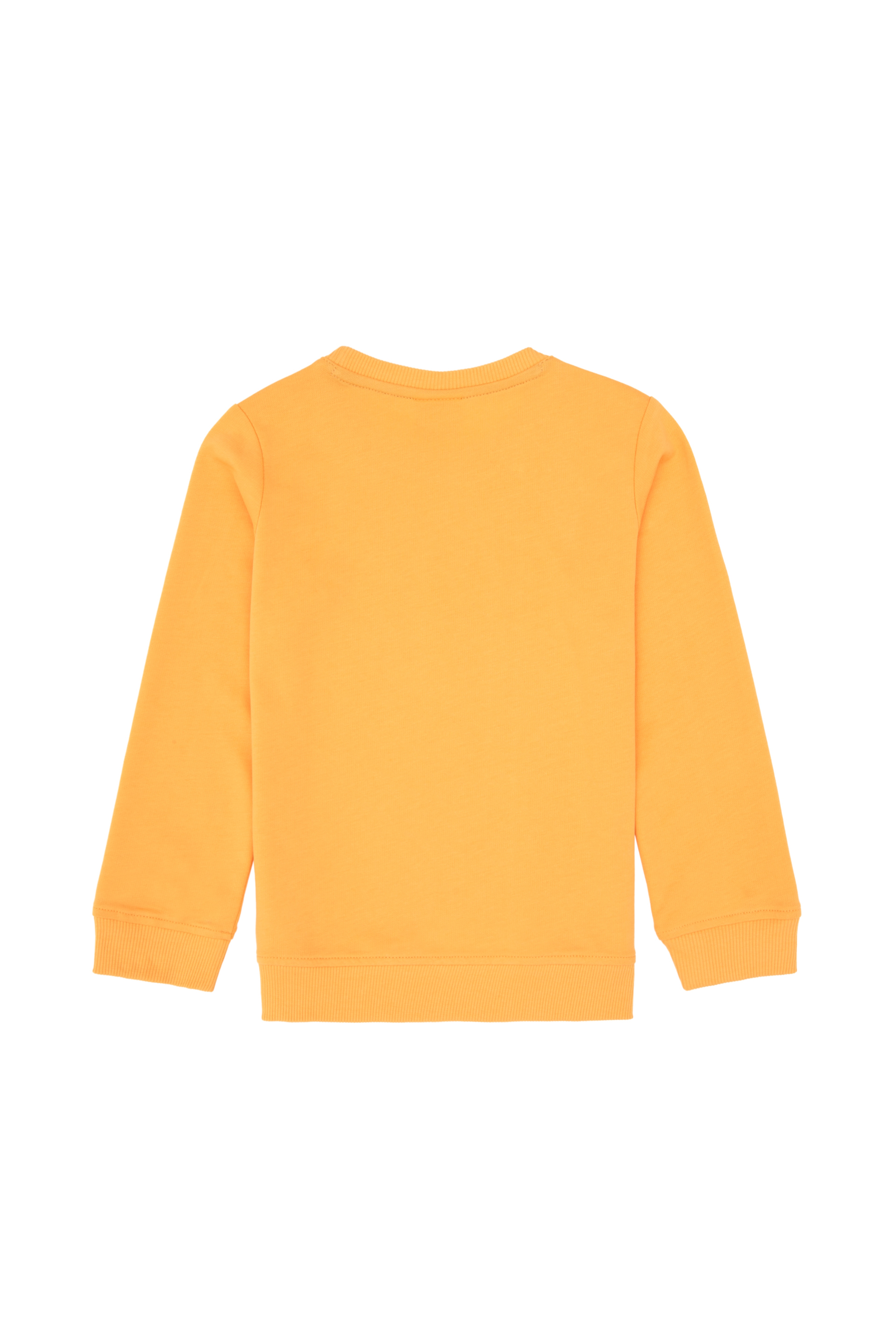 Erkek Çocuk Mango Bisiklet Yaka Basic Sweatshirt