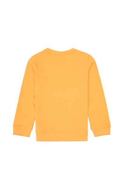 Erkek Çocuk Mango Bisiklet Yaka Basic Sweatshirt