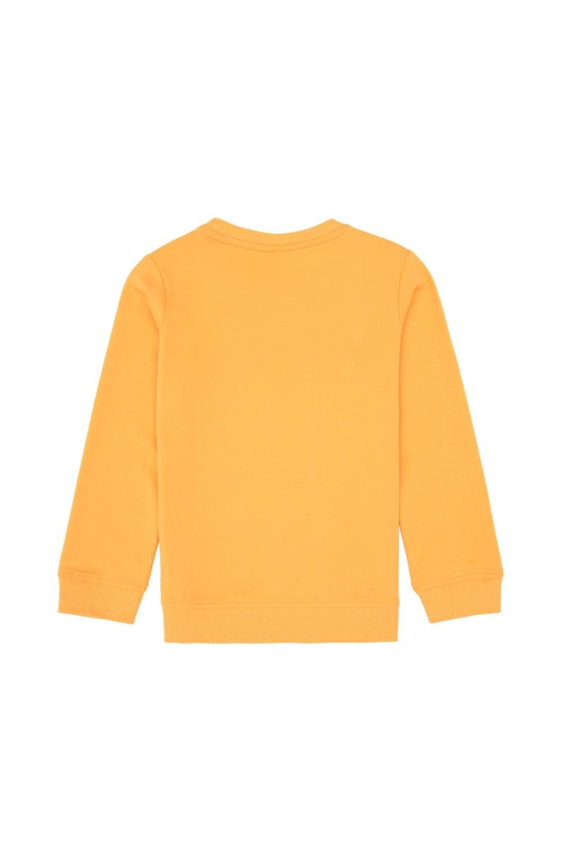 Erkek Çocuk Mango Bisiklet Yaka Basic Sweatshirt