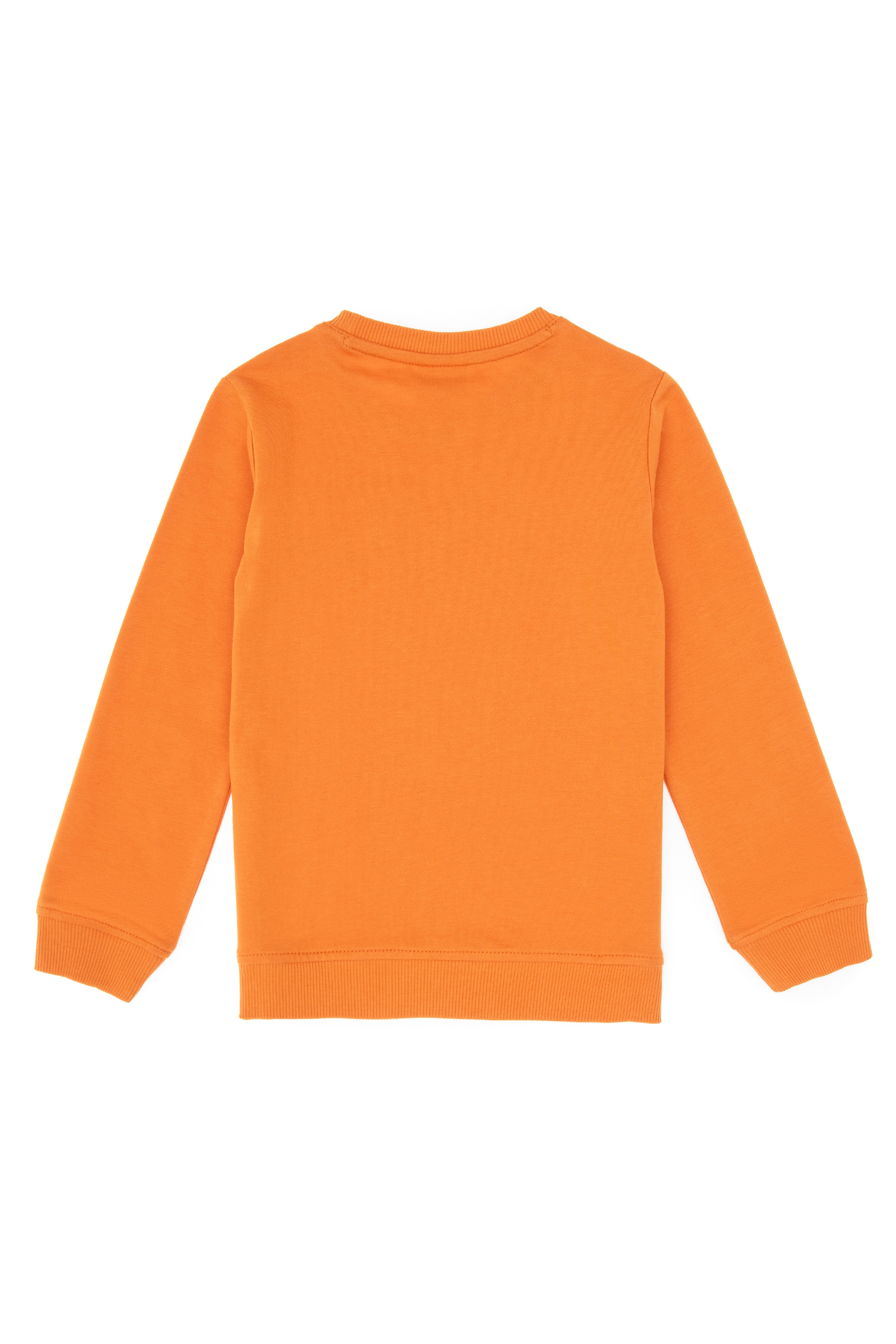 Erkek Çocuk Bakır Basic Bisiklet Yaka Sweatshirt