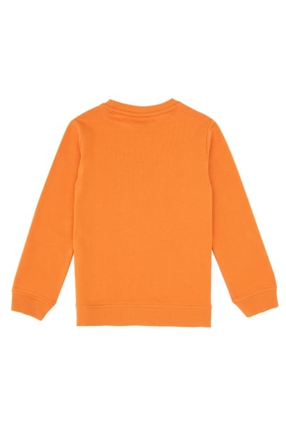 Erkek Çocuk Bakır Basic Bisiklet Yaka Sweatshirt