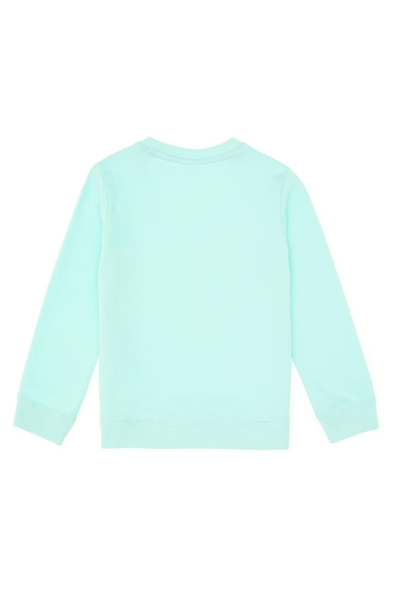 Erkek Çocuk Yeşil Basic Bisiklet Yaka Sweatshirt - 50313830231