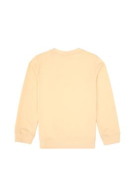 Erkek Çocuk Pembe Bisiklet Yaka Sweatshirt - 50313900124