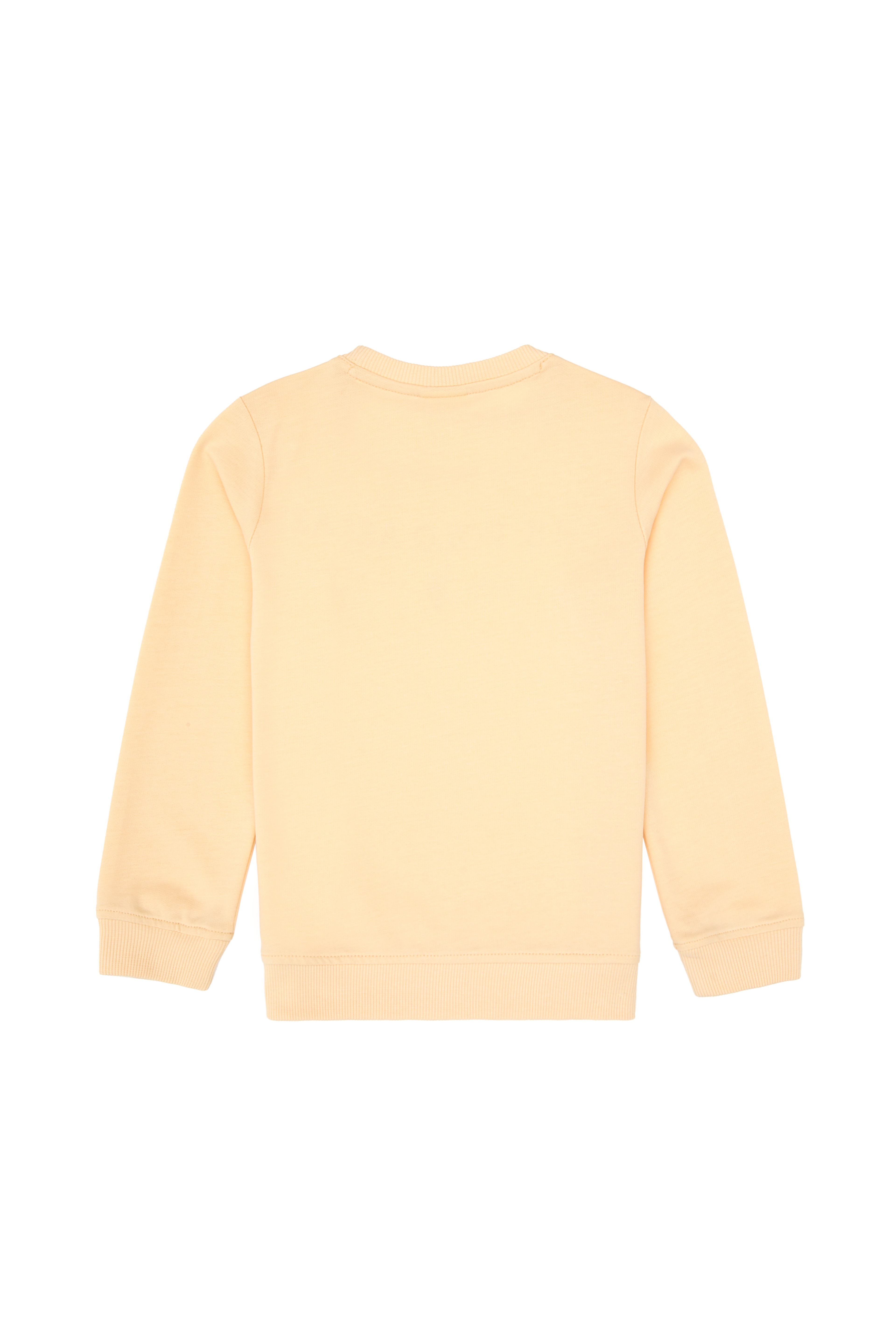 Erkek Çocuk Pembe Bisiklet Yaka Sweatshirt