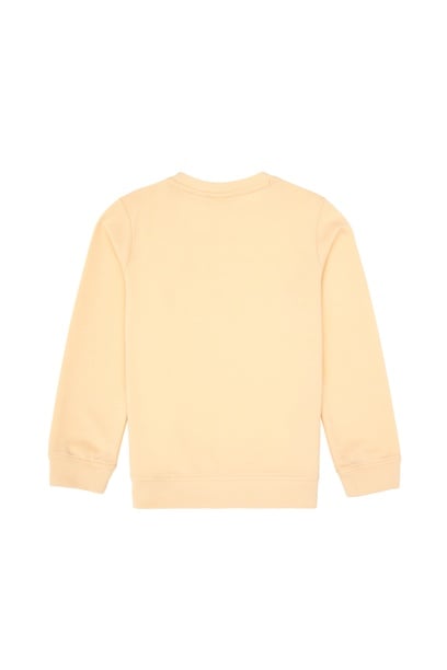 Erkek Çocuk Pembe Bisiklet Yaka Sweatshirt