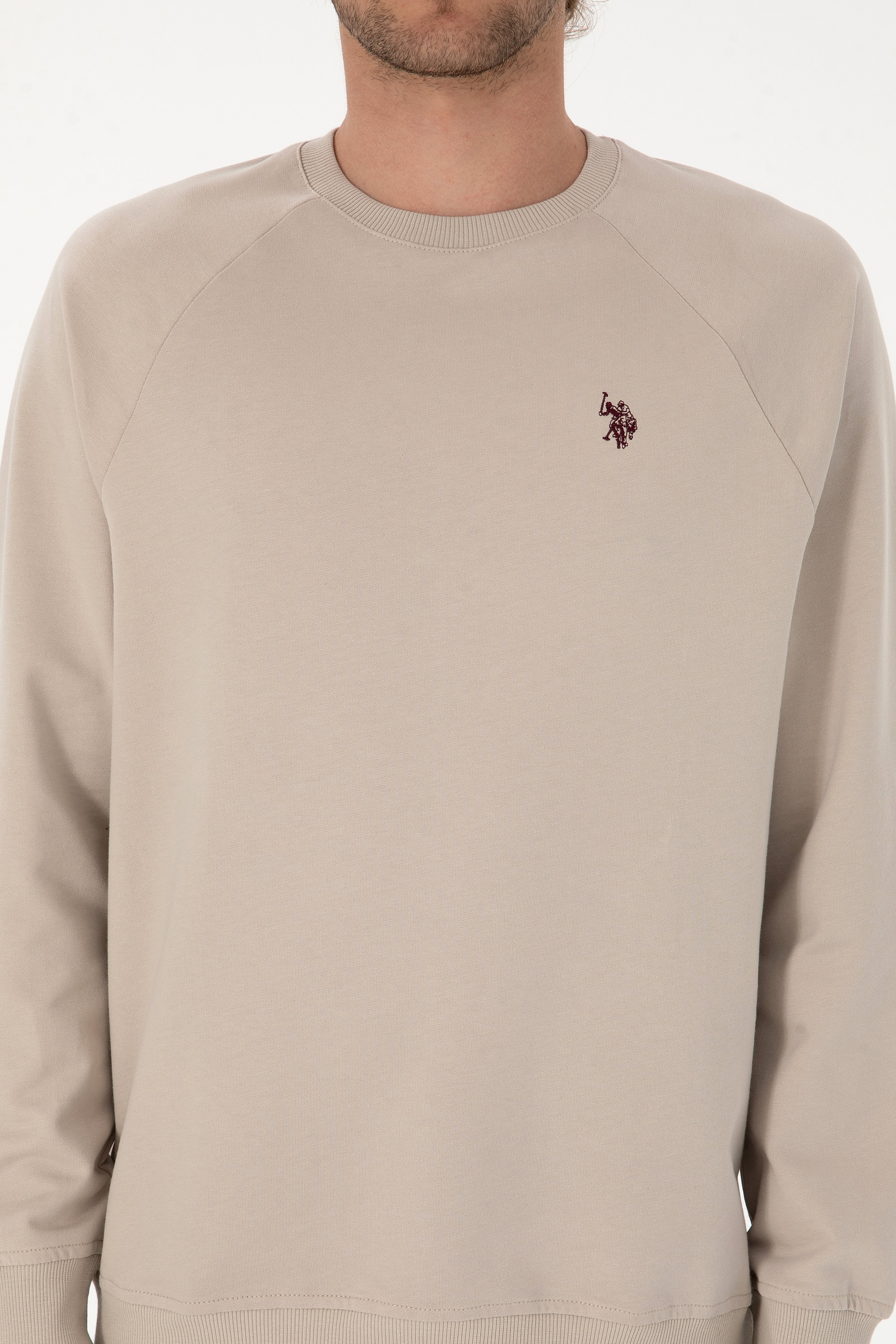 Erkek Regular Fit Bisiklet Yaka Taş İnce Basic Sweatshirt - Image 6