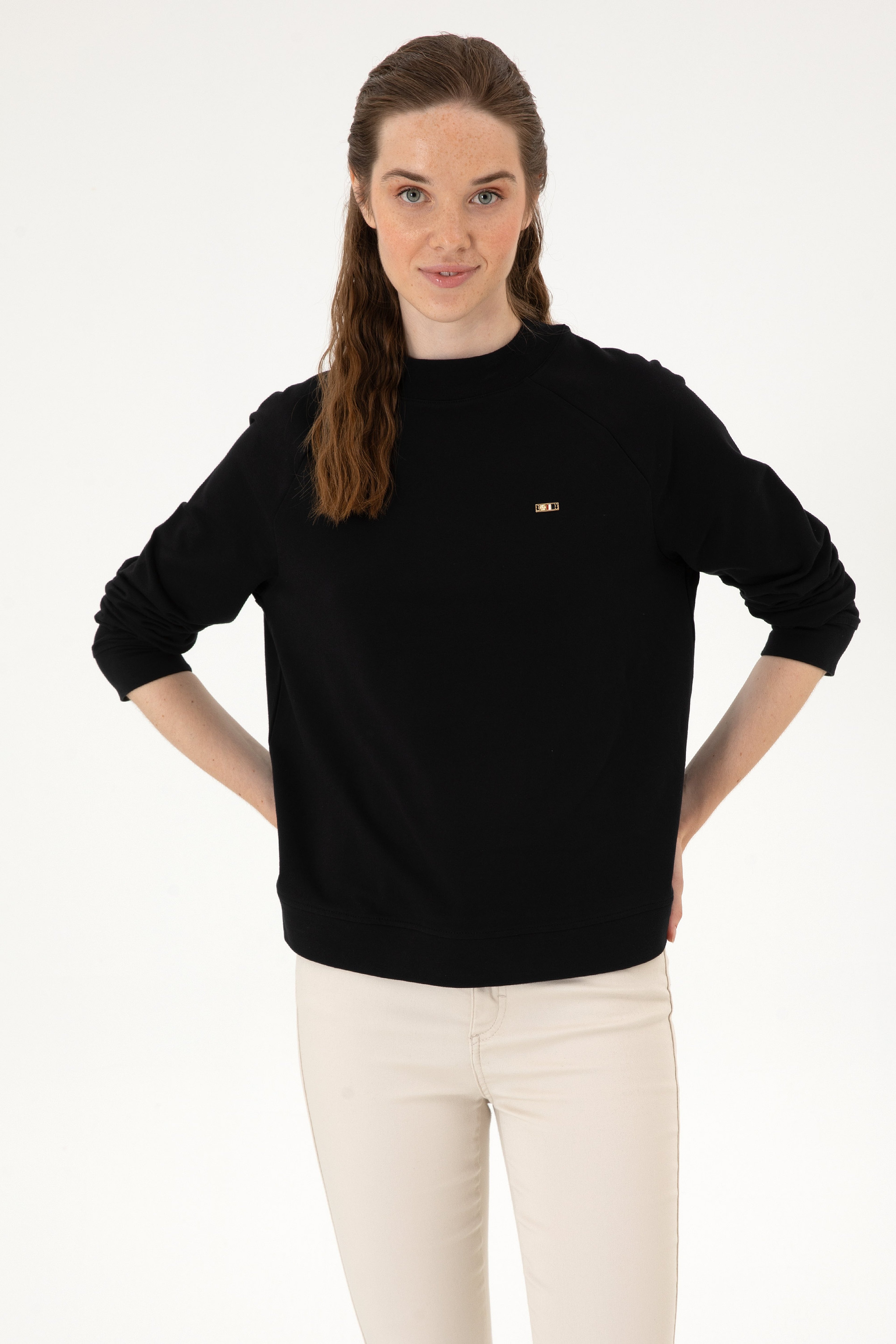 Kadın Siyah Regular Bisiklet Yaka Basic Sweatshırt - Image 3