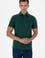 Erkek Koyu Yeşil Basic Tişört