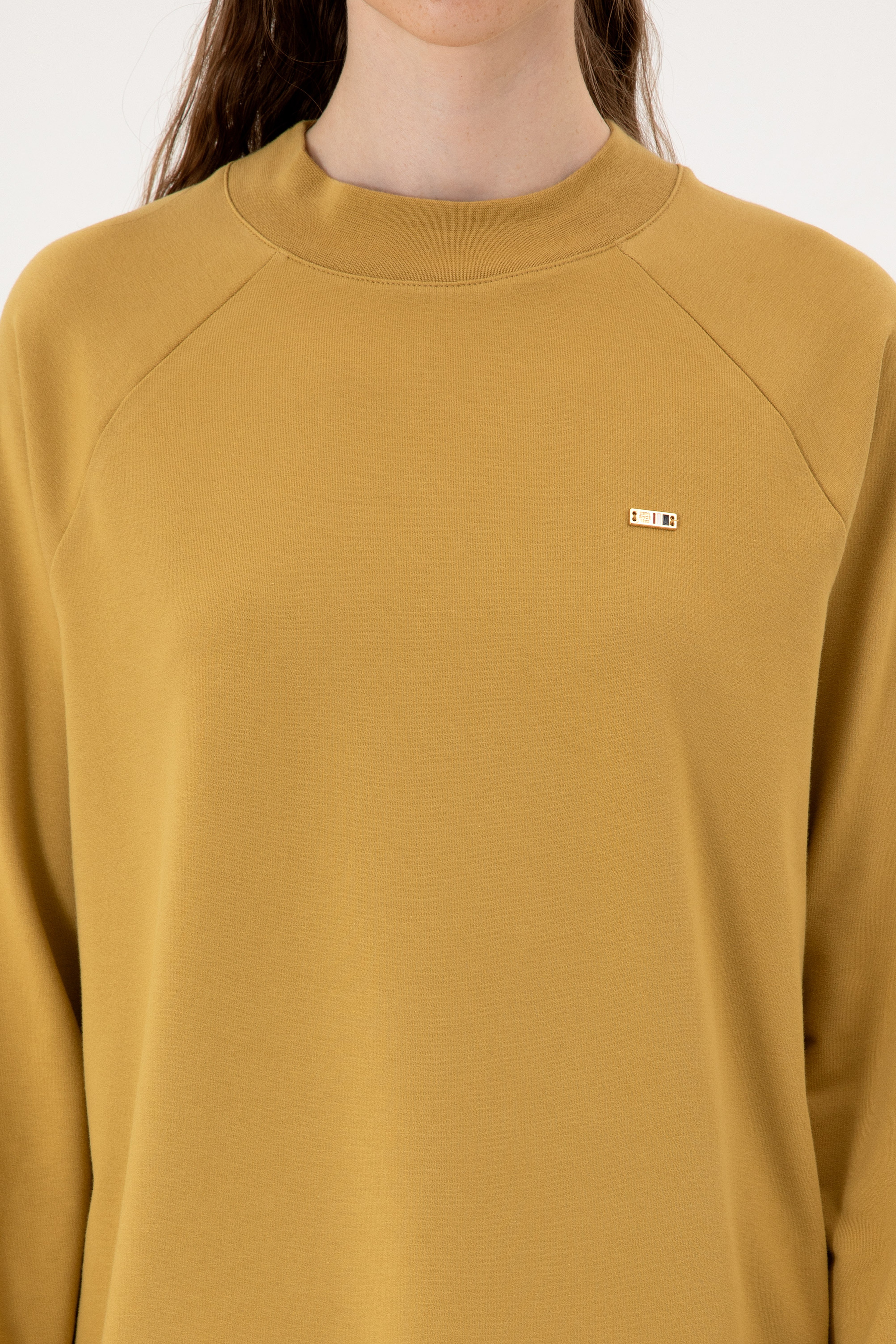 Kadın Camel Regular Bisiklet Yaka Basic Sweatshırt - Image 6