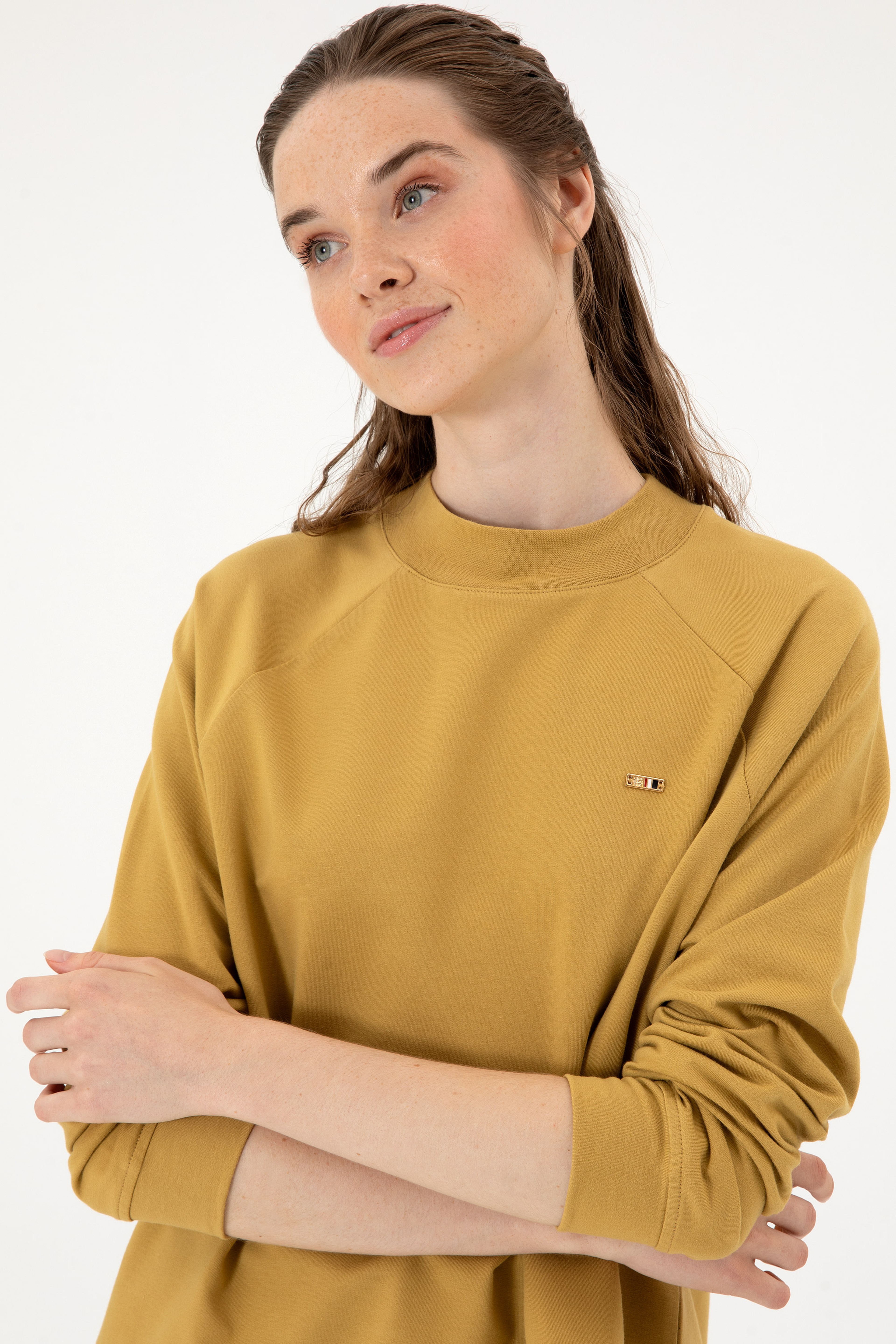 Kadın Camel Regular Bisiklet Yaka Basic Sweatshırt - Image 2