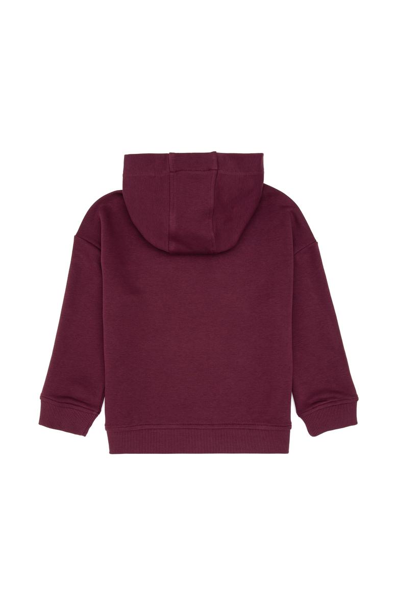 Erkek Çocuk Bordo Kapüşonlu Sweatshirt - 50313842043