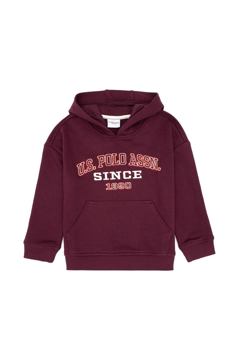 Erkek Çocuk Bordo Kapüşonlu Sweatshirt - 50313842043