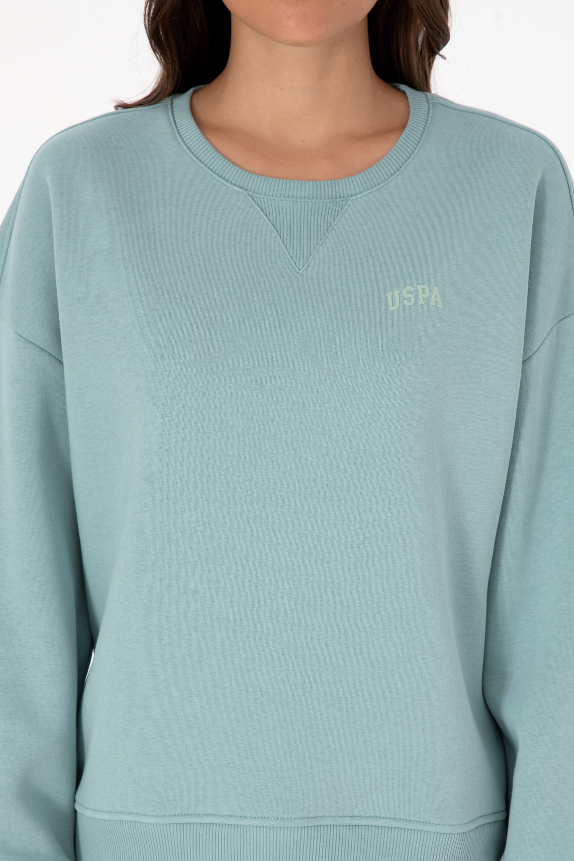 Kadın Mint Şardonlu Bisiklet Yaka Basic Sweatshırt - Image 6
