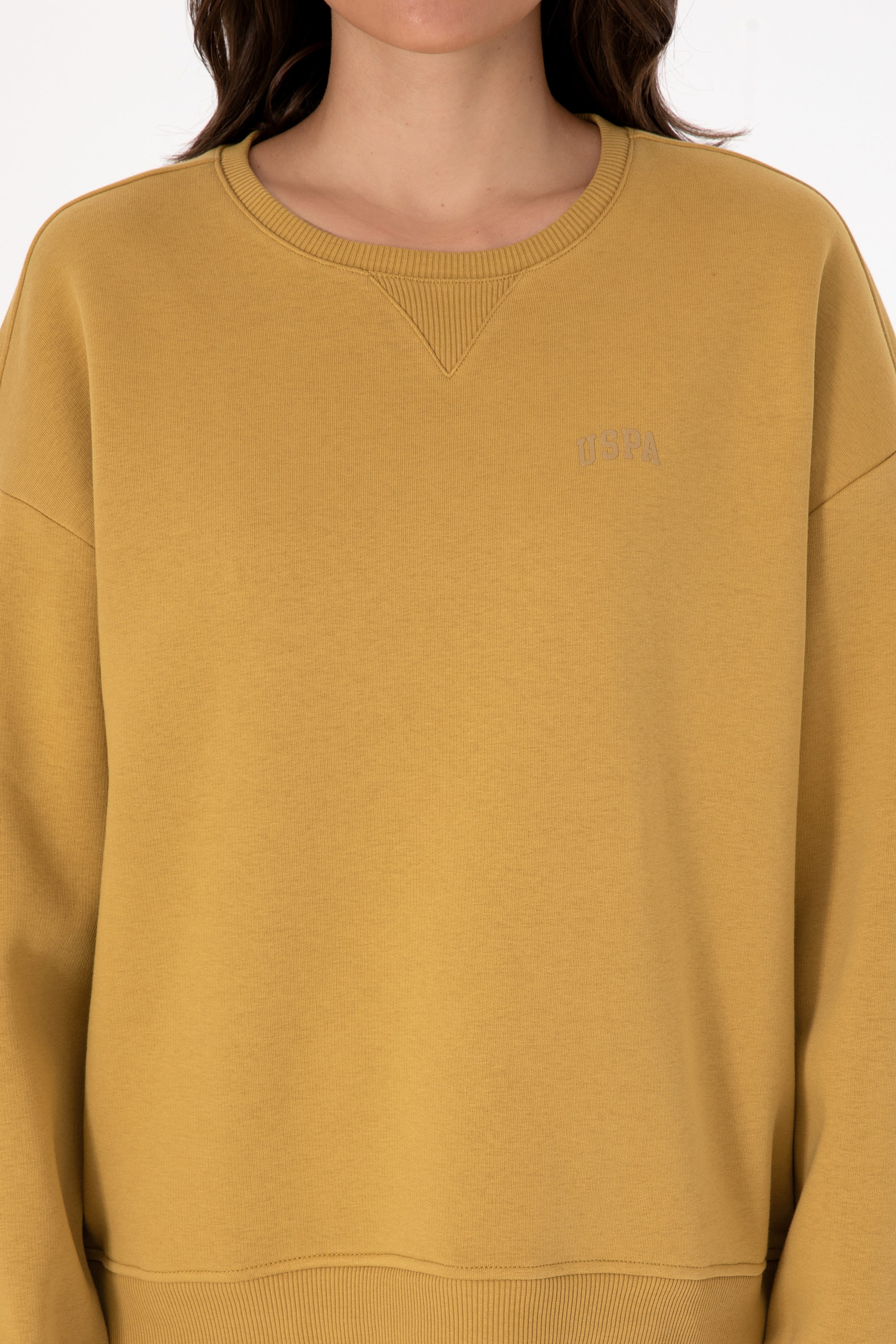 Kadın Camel Şardonlu Bisiklet Yaka Basic Sweatshırt
