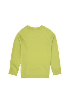 Erkek Çocuk Fıstık Yeşili Basic Bisiklet Yaka Sweatshirt - 50313832142