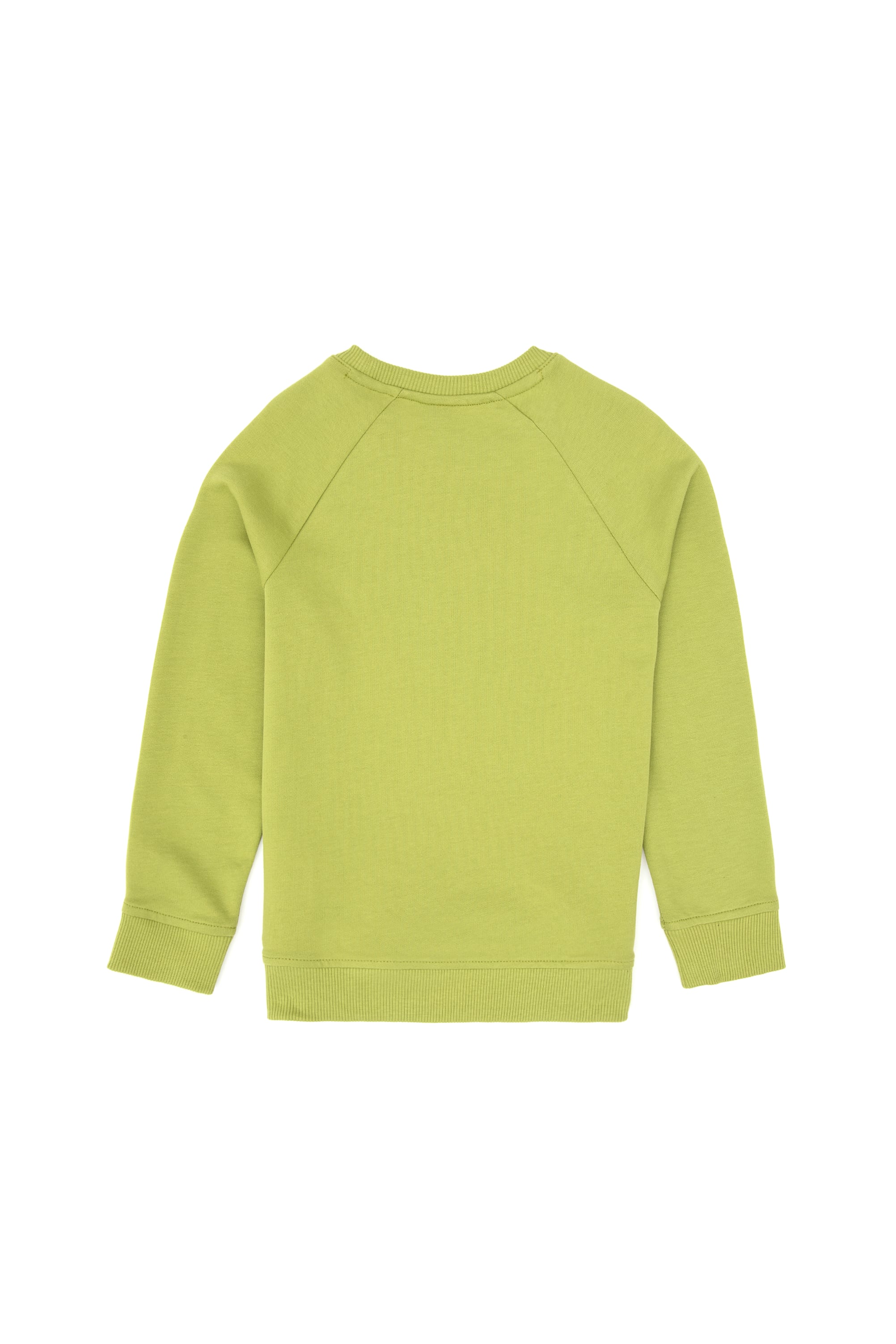 Erkek Çocuk Fıstık Yeşili Basic Bisiklet Yaka Sweatshirt - Image 2
