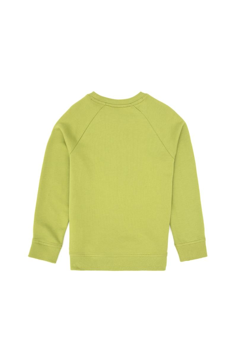 Erkek Çocuk Fıstık Yeşili Basic Bisiklet Yaka Sweatshirt