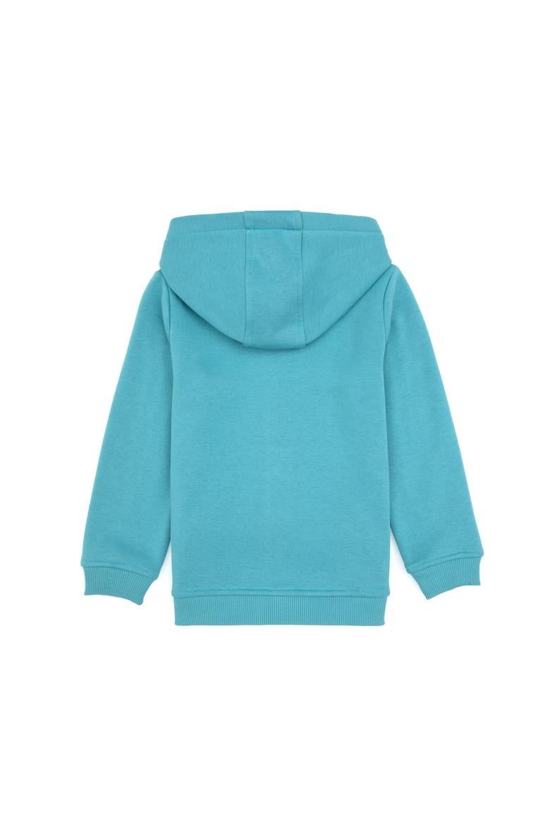 Erkek Çocuk Mint Örme Fermuarlı Kapüşonlu Hırka - 50313852076