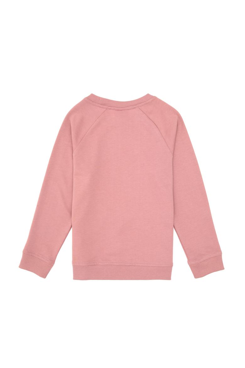 Erkek Çocuk Orkide Basic Bisiklet Yaka Sweatshirt - 50313832101