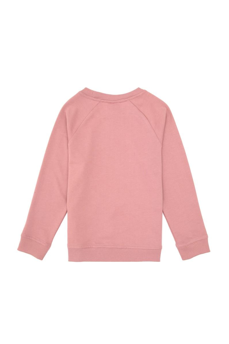 Erkek Çocuk Orkide Basic Bisiklet Yaka Sweatshirt