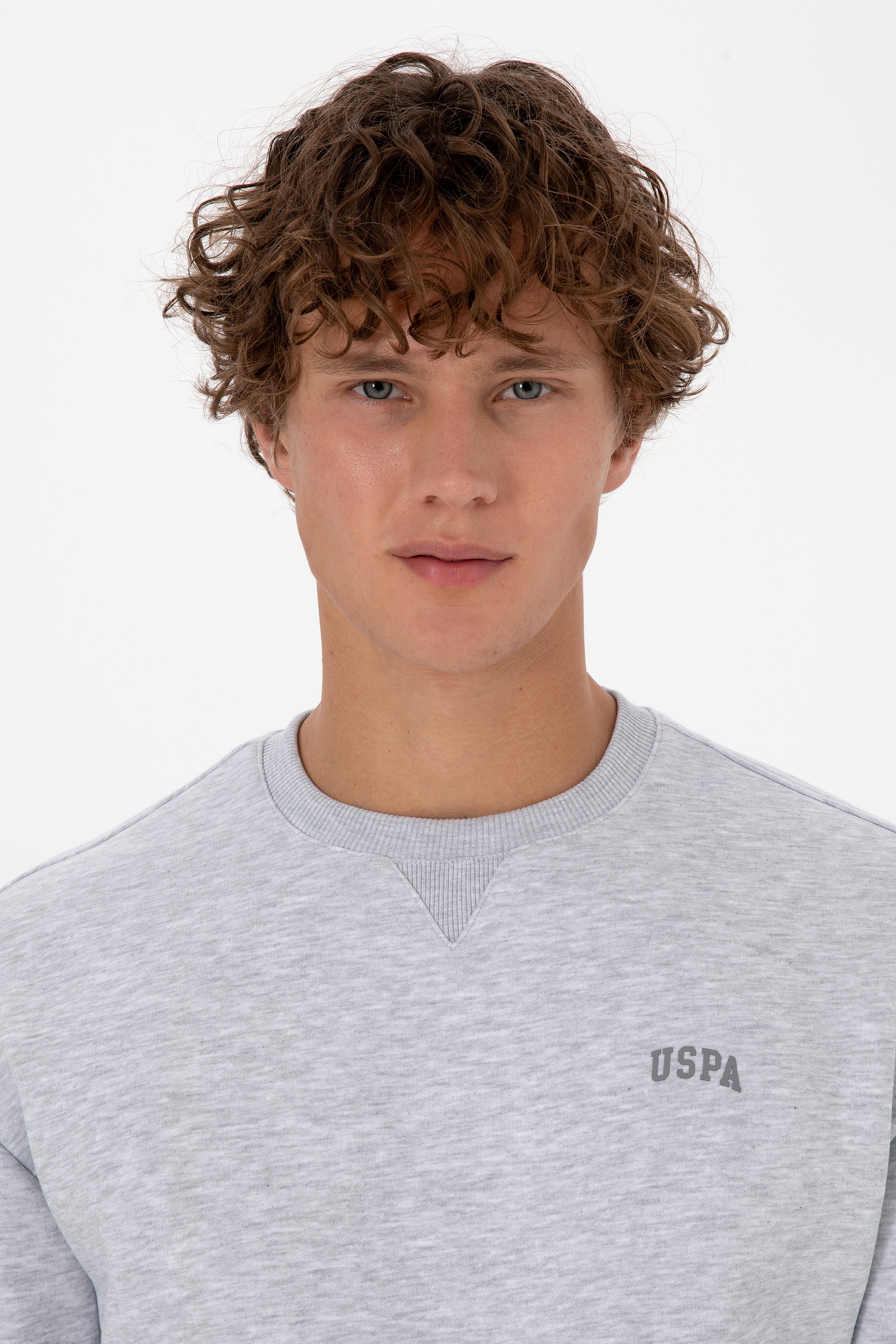 Erkek Comfort Fit Bisiklet Yaka Şardonlu Açık Gri Basic Sweatshirt