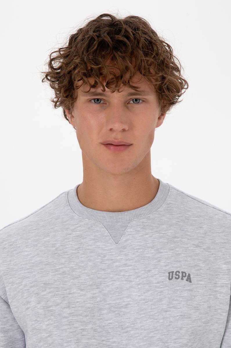 Erkek Comfort Fit Bisiklet Yaka Şardonlu Açık Gri Basic Sweatshirt