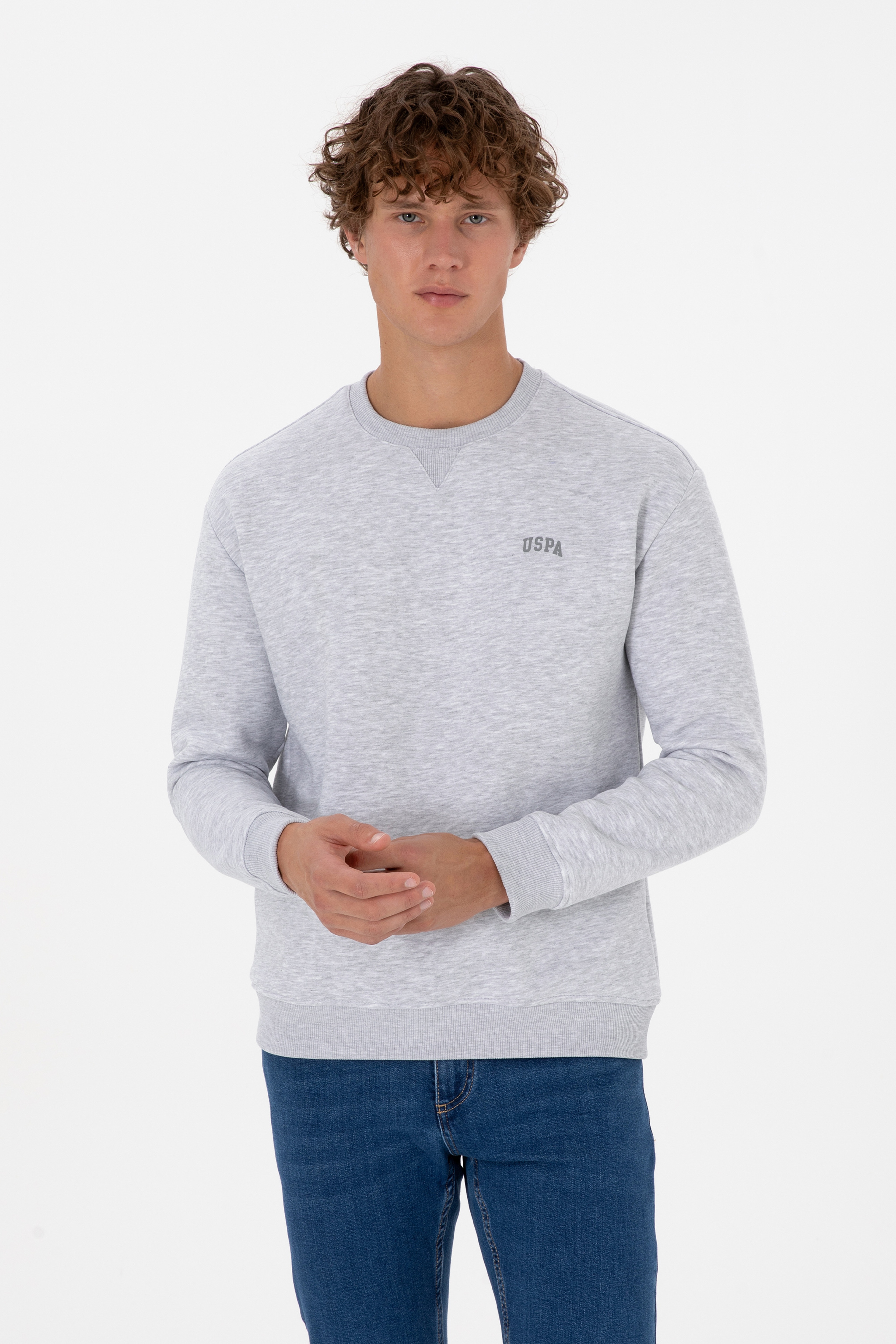 Erkek Comfort Fit Bisiklet Yaka Şardonlu Açık Gri Basic Sweatshirt