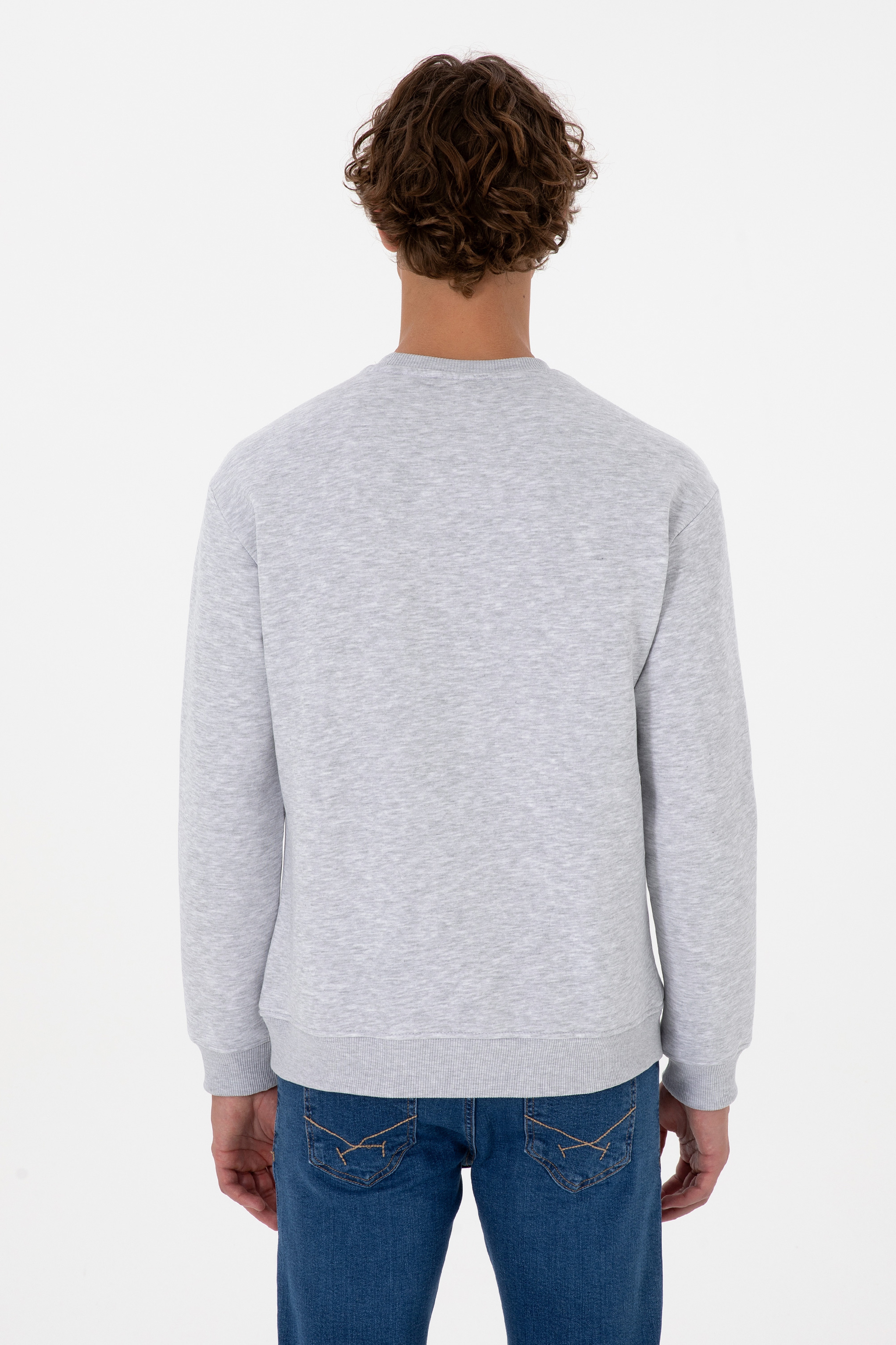 Erkek Comfort Fit Bisiklet Yaka Şardonlu Açık Gri Basic Sweatshirt