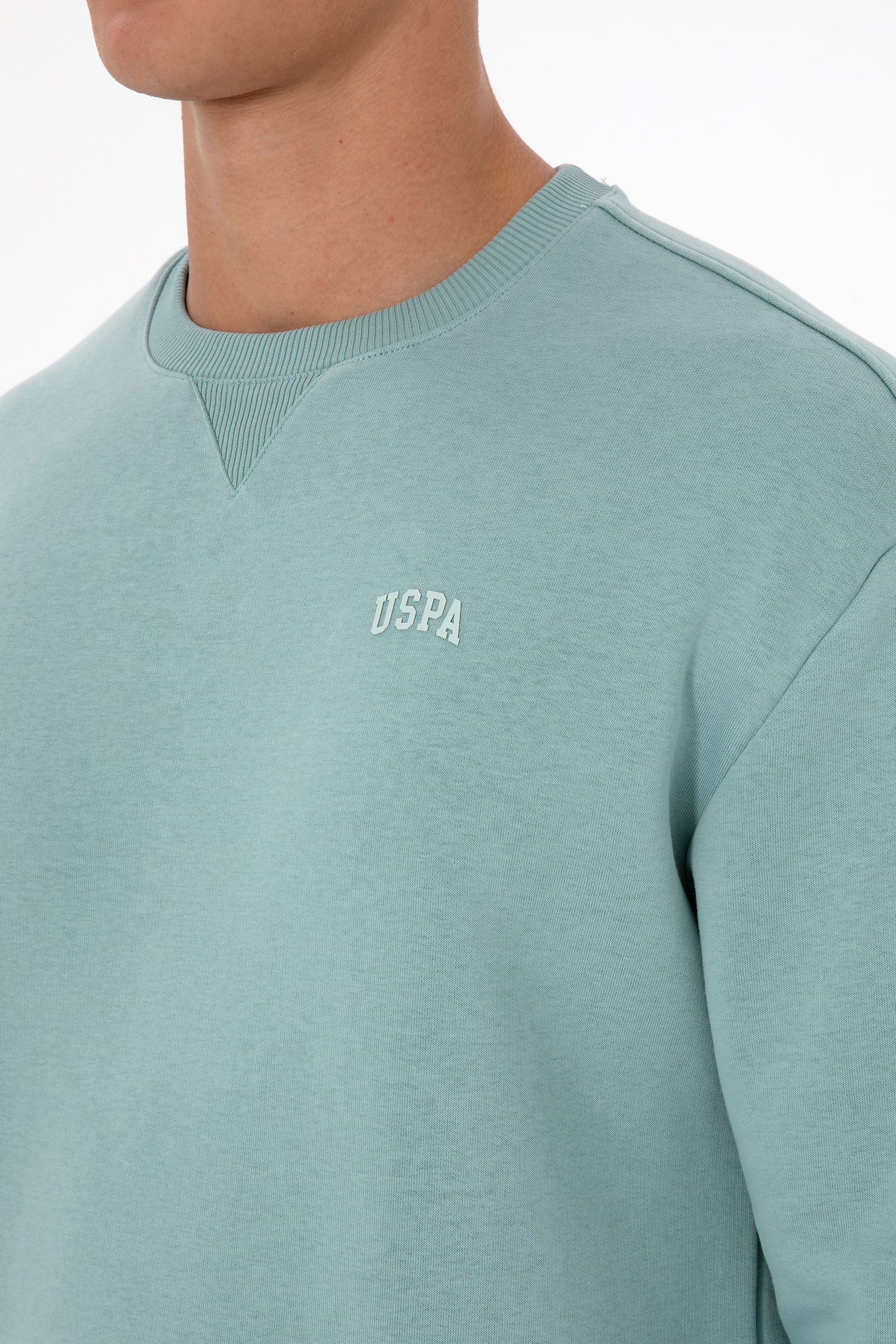 Erkek Comfort Fit Bisiklet Yaka Şardonlu Mint Basic Sweatshirt