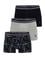 Erkek 3'lü Boxer Takım