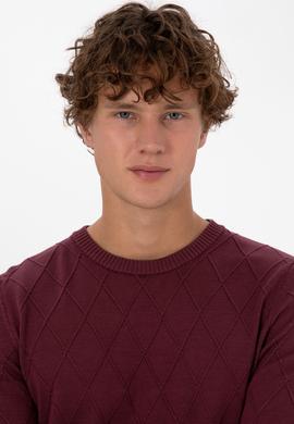 Erkek Slim Fit Bisiklet Yaka Desenli Bordo Kazak - 50315748014