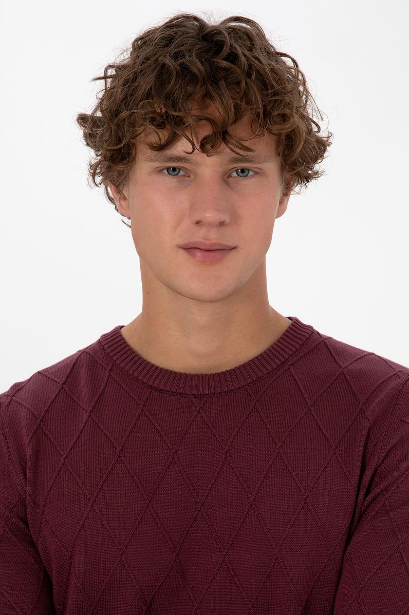 Erkek Slim Fit Bisiklet Yaka Desenli Bordo Kazak