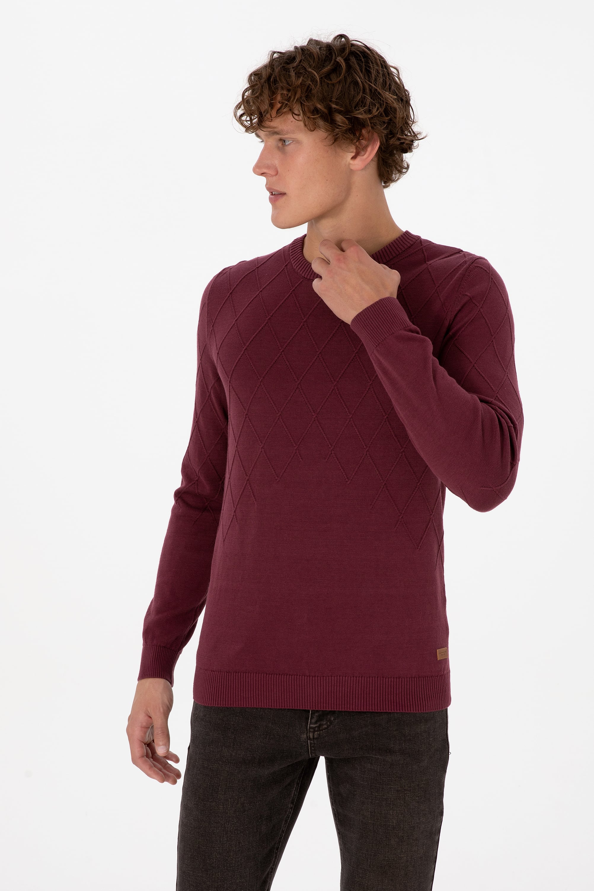 Erkek Slim Fit Bisiklet Yaka Desenli Bordo Kazak