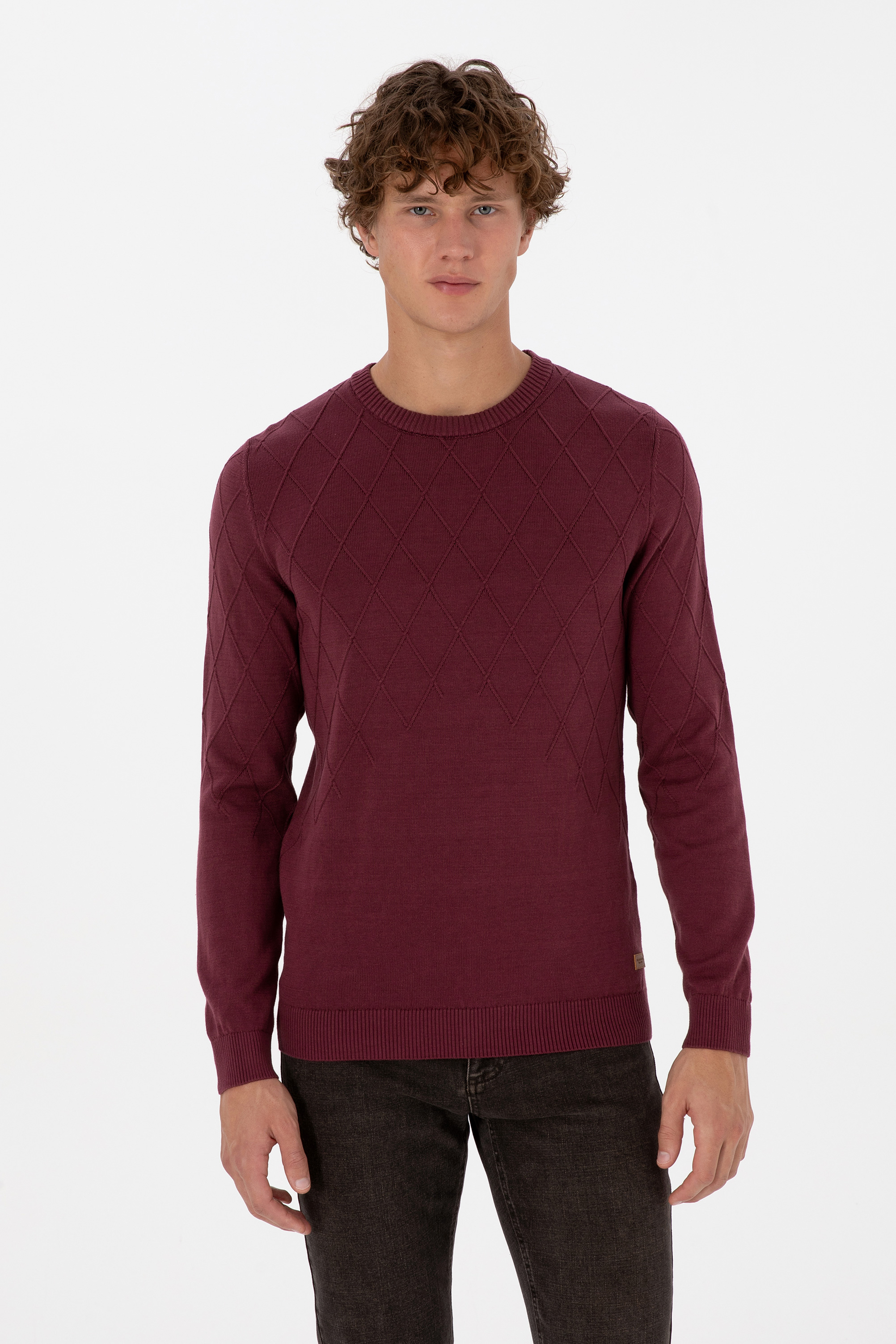 Erkek Slim Fit Bisiklet Yaka Desenli Bordo Kazak - Image 1