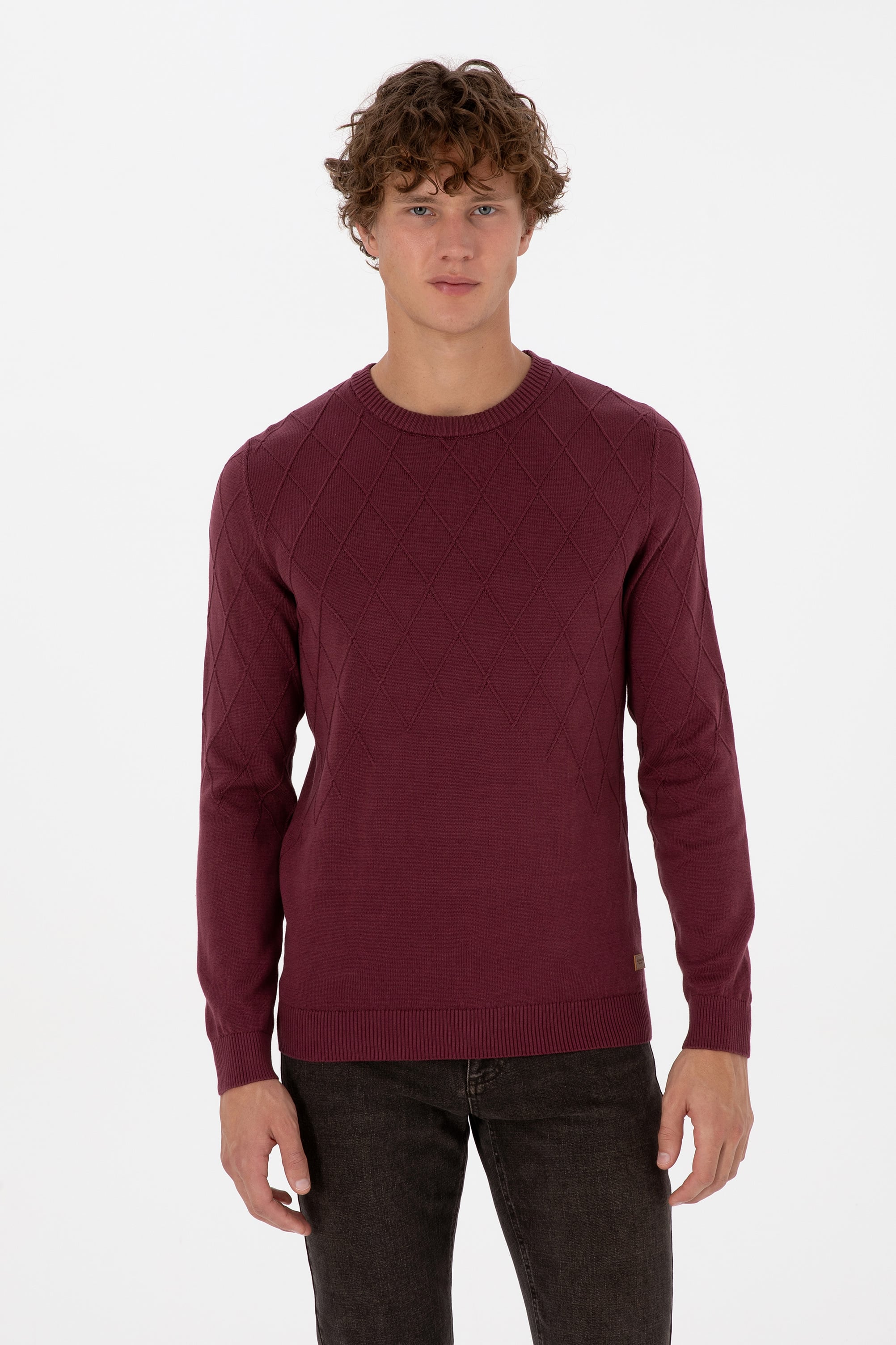 Erkek Slim Fit Bisiklet Yaka Desenli Bordo Kazak