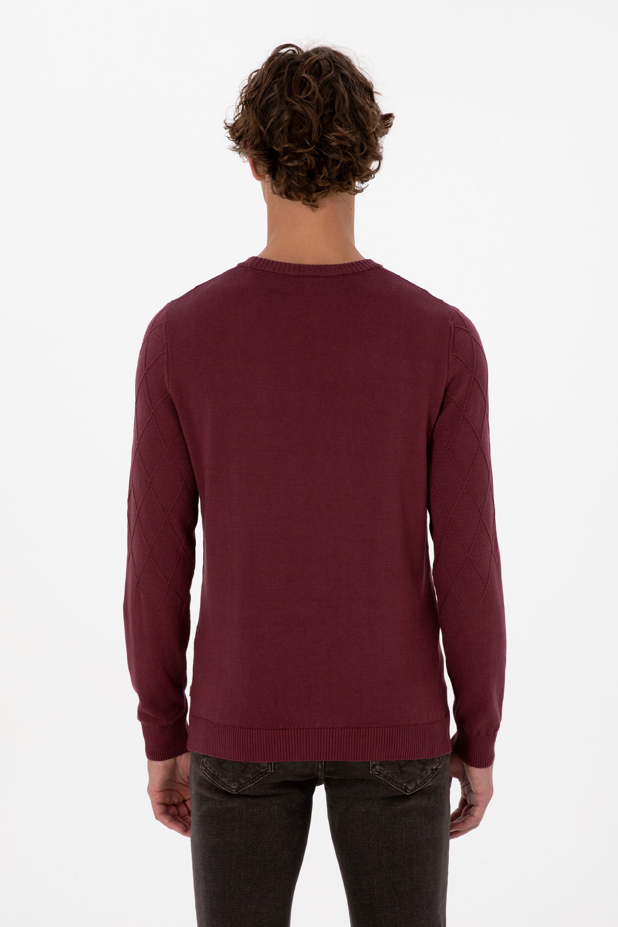 Erkek Slim Fit Bisiklet Yaka Desenli Bordo Kazak