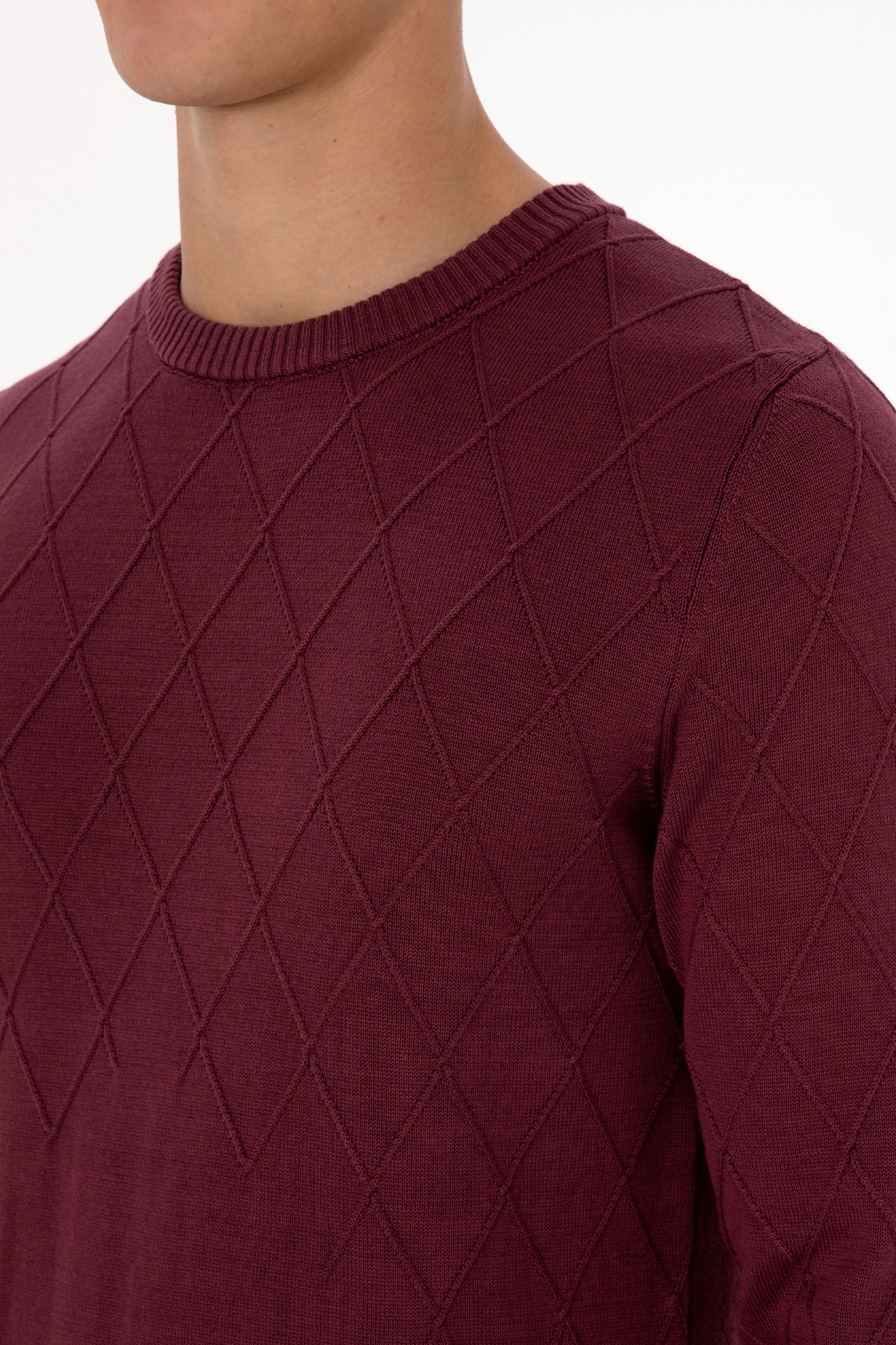 Erkek Slim Fit Bisiklet Yaka Desenli Bordo Kazak - Image 7