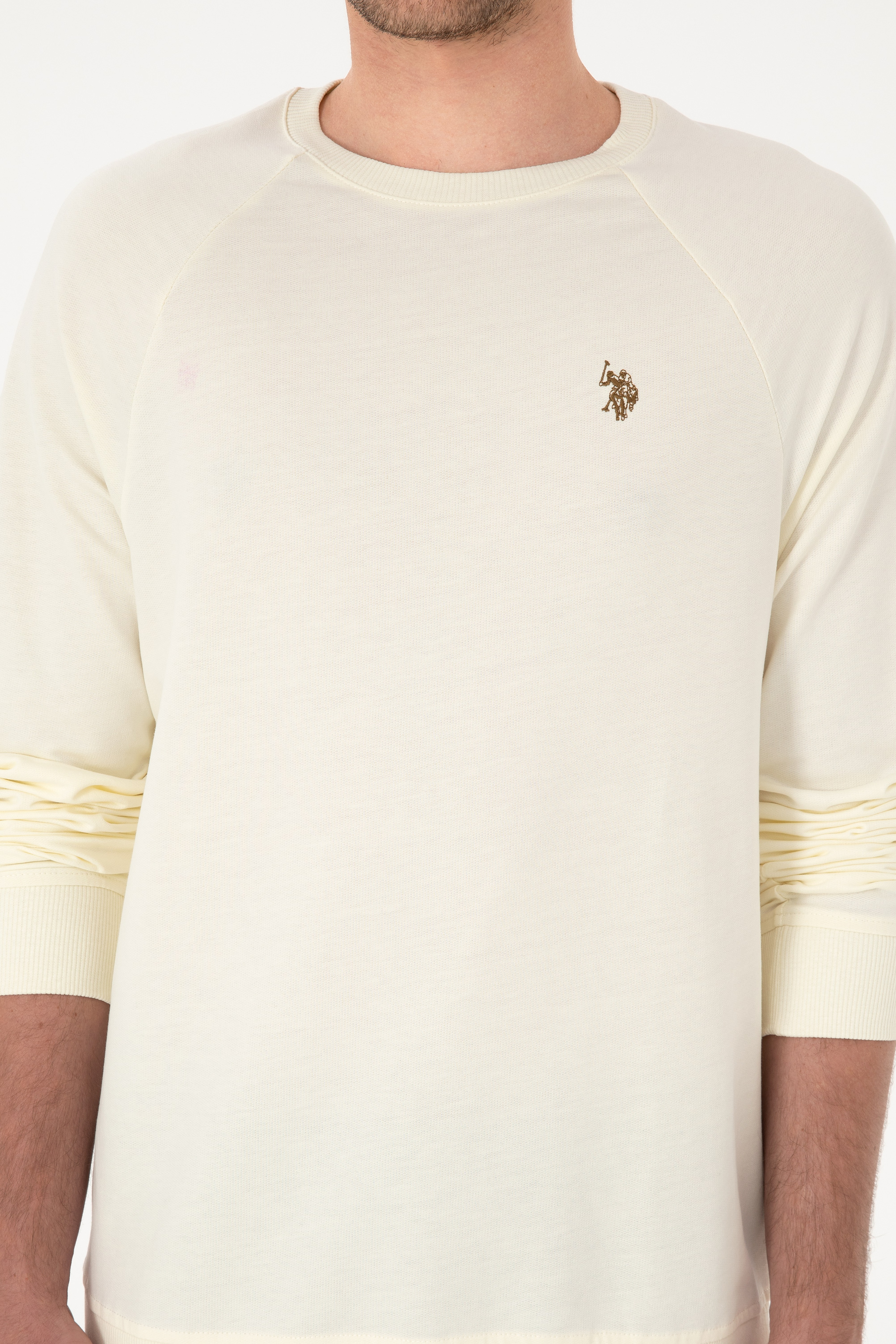 Erkek Regular Fit Bisiklet Yaka Krem İnce Basic Sweatshirt - Image 6