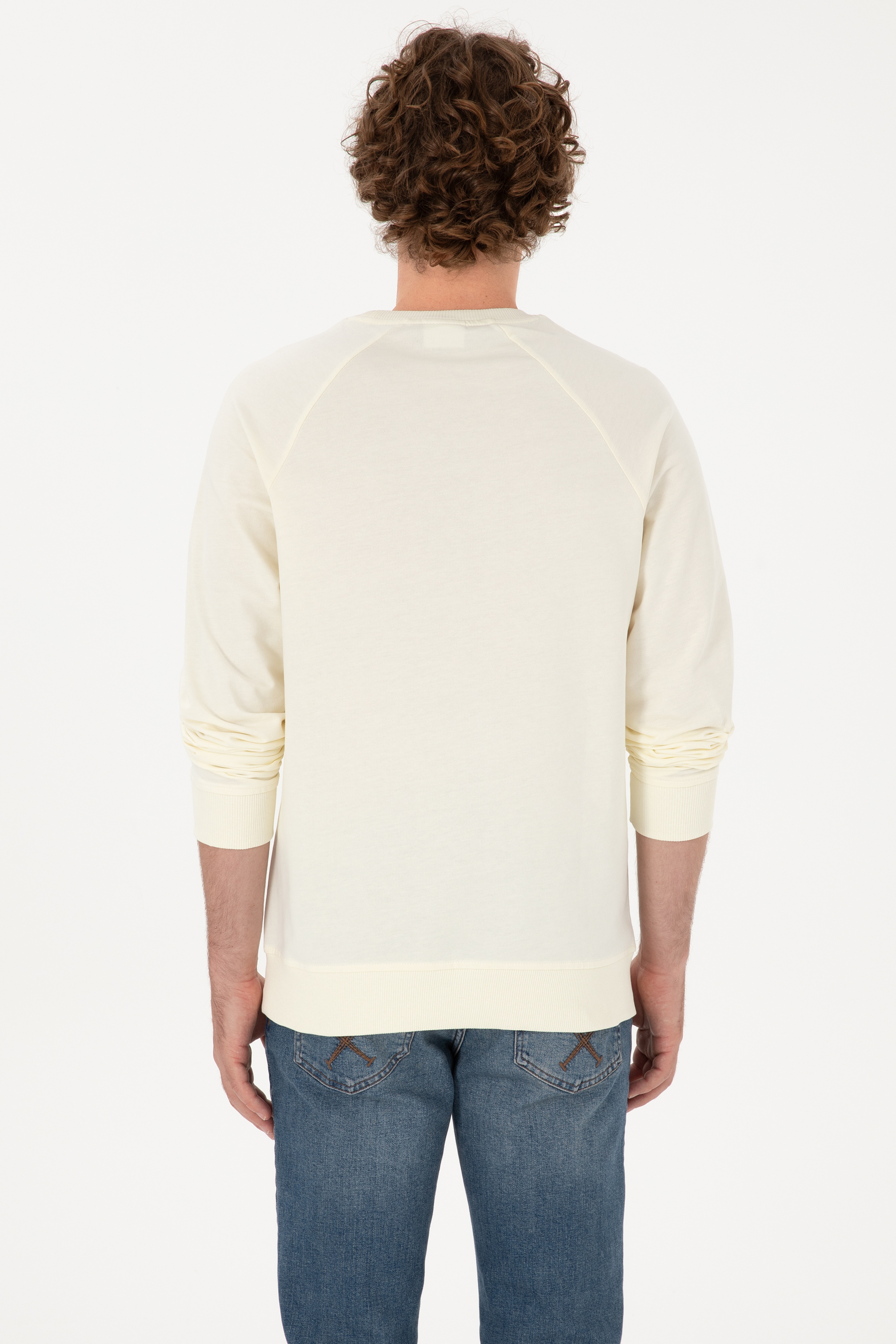 Erkek Regular Fit Bisiklet Yaka Krem İnce Basic Sweatshirt - Image 5
